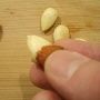 MonderAmandes06Index