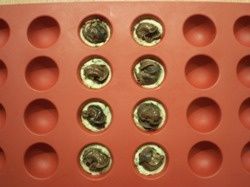 GicletteEscargotHabitVertSaladHerbes13
