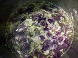 PotageParmentierVitelotte10