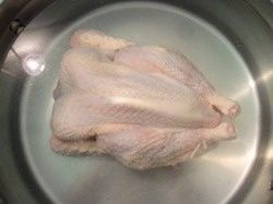 BouillonPoule16