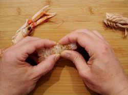 DecortiquerLangoustines02Bis.JPG