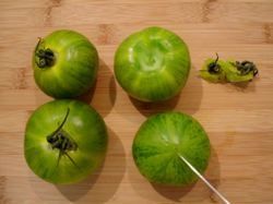 ConcasseeTomatesVertes01