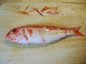 HabillerPoissonRond10