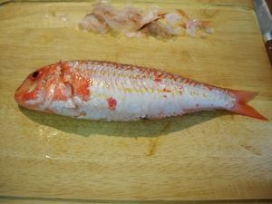 HabillerPoissonRond14