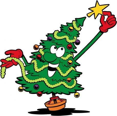 les-sapins-de-noel-guide-pratique-pour-un-achat-responsable.jpg