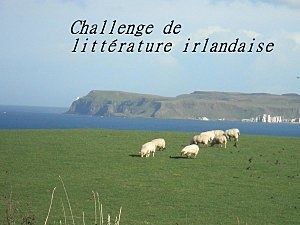 Irlande-en-challenge.jpg