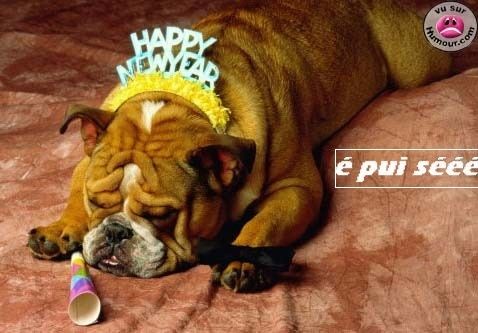 happynewyear_bdog-3.jpg