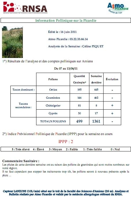 pollen20110616.jpg