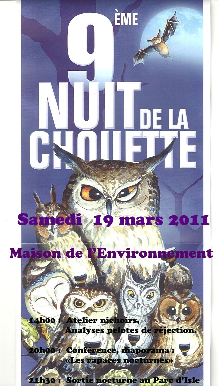 chouette.jpg