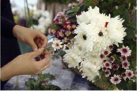 bouquet_chien.JPG