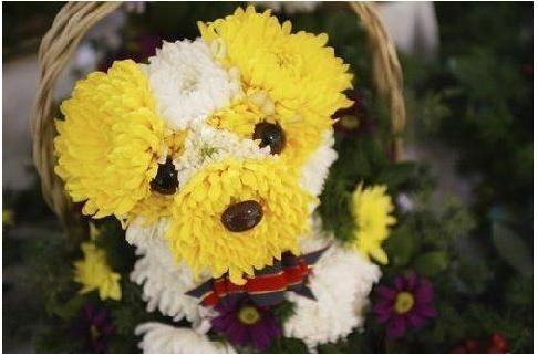 bouquet_chien3.JPG