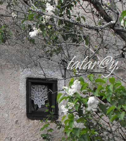 DSCF5298-R.JPG