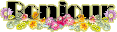 gifs-images-forum-bonjour-img.gif