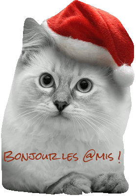 bonjour-les-amis-chat-copie-1.gif