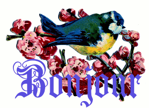 bluebird