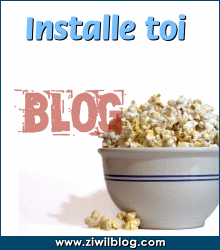 pour_visiter_mon_blog