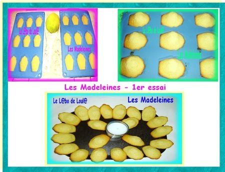 Premier_essai_de_madeleines___recette_Mercotte