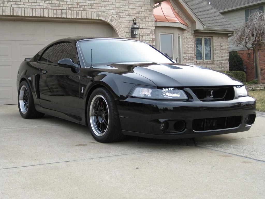 2003 Ford mustang terminator #2