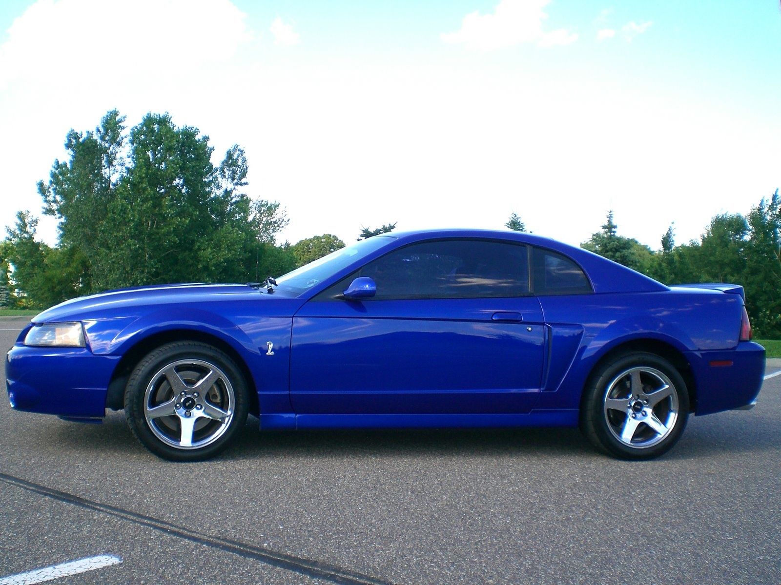 2003 Ford mustang cobra terminator