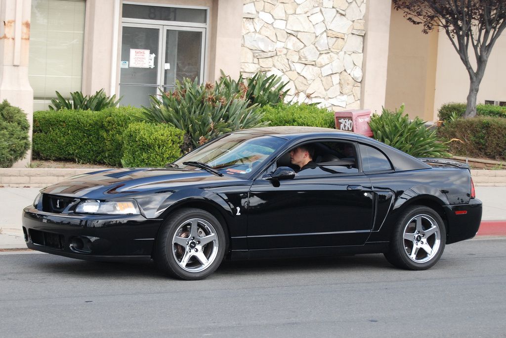 2003 Ford mustang terminator #9