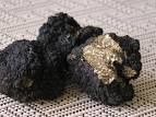 truffe de Bourgogne