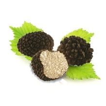 truffes d'été