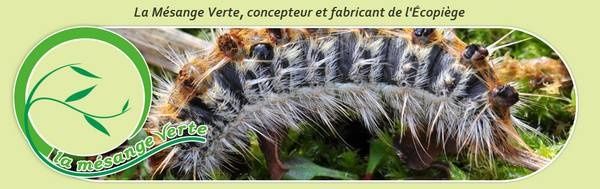 piege-a-chenilles-processionnaire-de-la-mesange-verte---.jpg