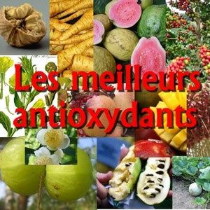 antioxydants pas chers - in natures paul keirn