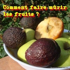 comment faire purir les fruits paul keirn