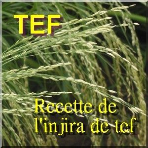 le pain éthiopien injira de tef