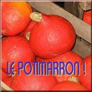 potimarron et cucurbitacées paul keirn