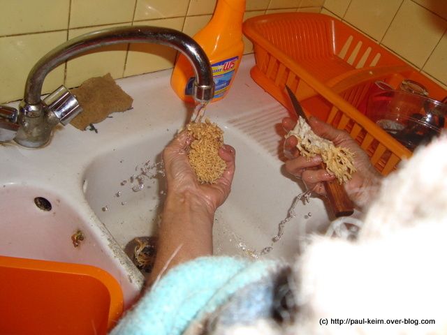 Recette-lactaires03683.jpg