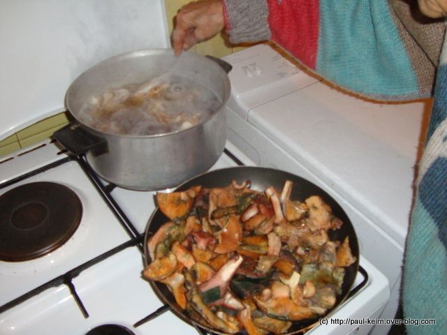 Recette-lactaires03698.jpg