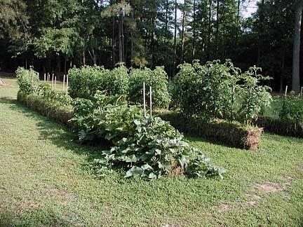 NATURES - Culture sur paille StrawBaleGarden (15)