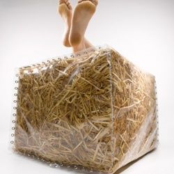 NATURES - Culture sur paille StrawBaleGarden (27)