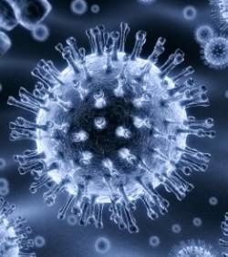 Virus-hepatite-A