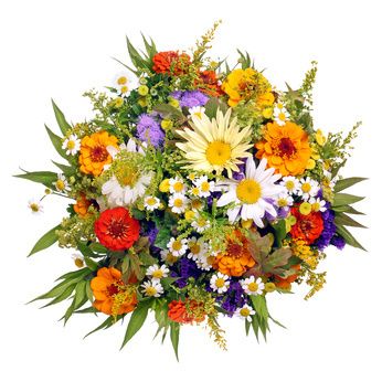 fleurs-fotolia.jpg