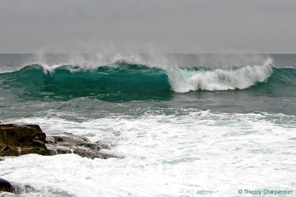 Vagues-1.jpg