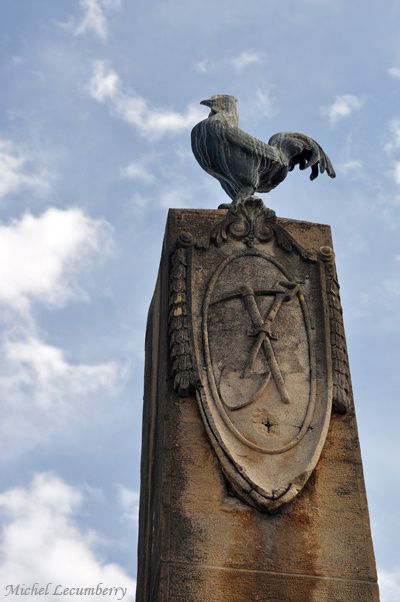 coq