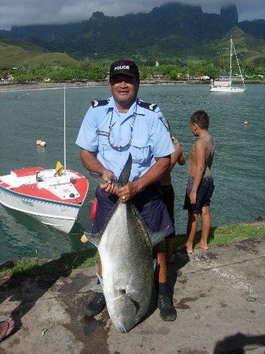 carangue 083