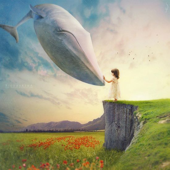 enfant-a-la-baleine.jpg