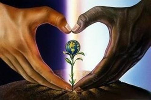 germination.jpg