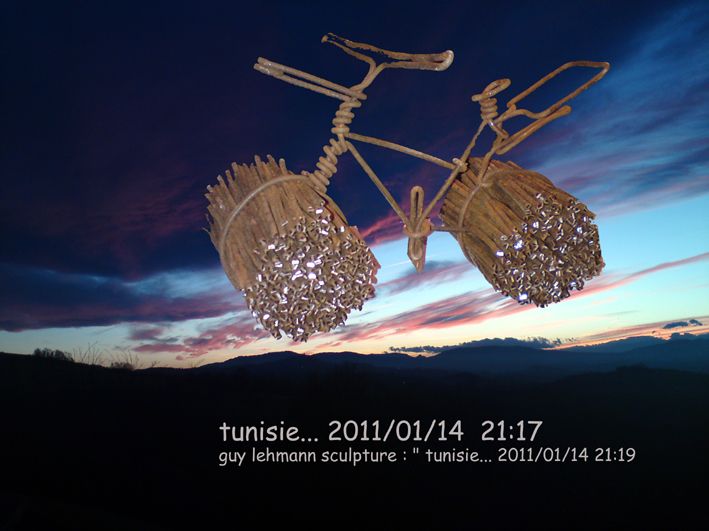 Tunisie net 2010 01 14 21h24