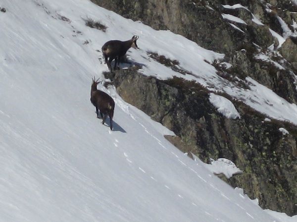 2010-03-08autanes12.jpg
