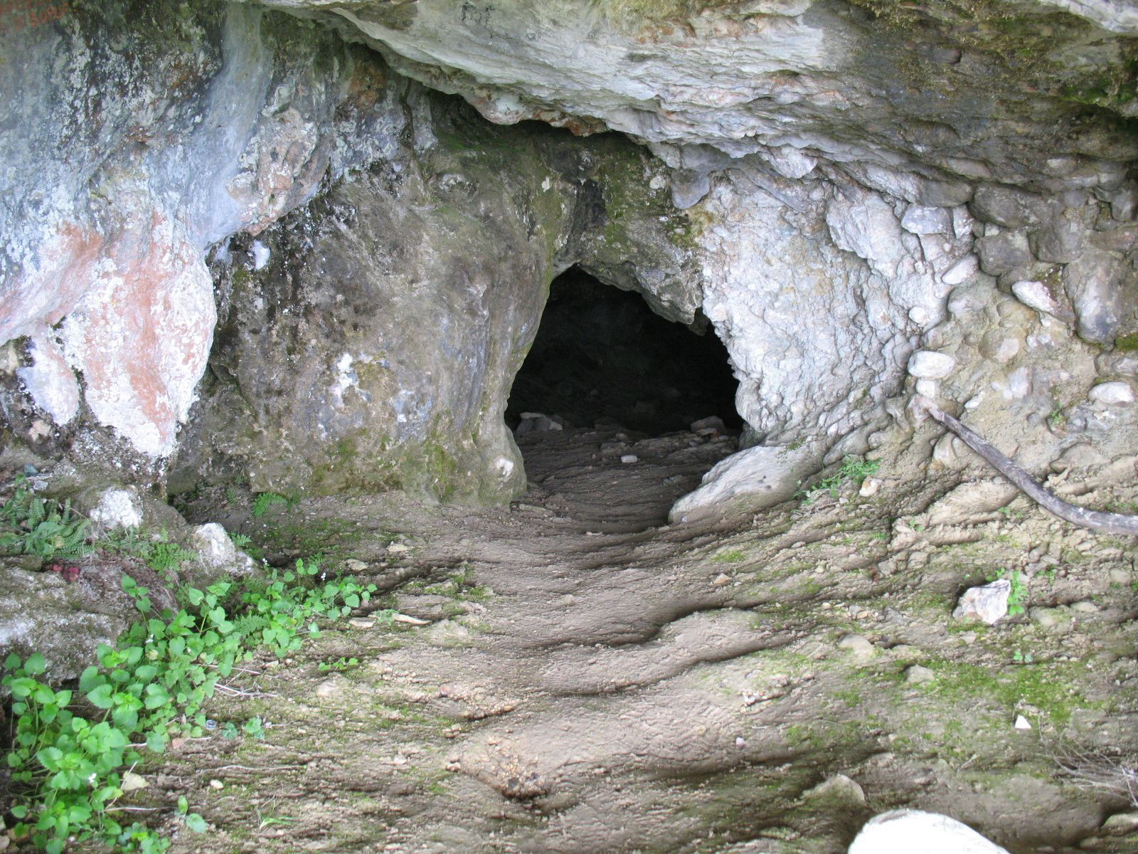 Vocabulaire Odyssée Homère : Ulysse La-grotte-de-meailles-6893