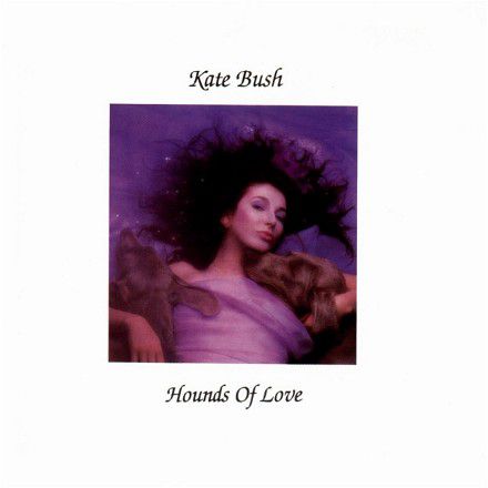 Web hounds of love album kate bush