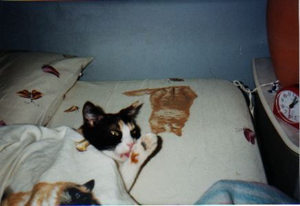 unnamed--2-.jpg