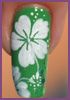fleur-hawai---vi.JPG