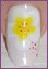 os-blanc-et-jaune---vi.JPG