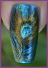 plume-de-paon---vi.JPG
